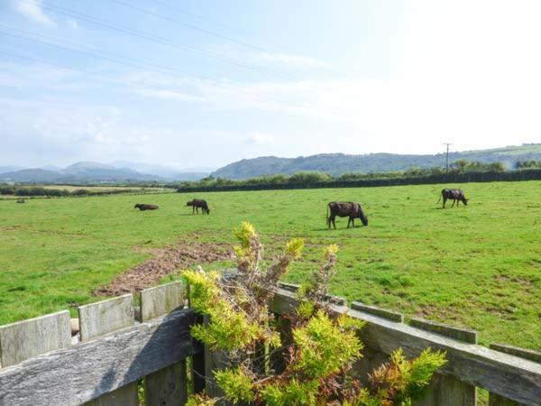 Muncaster View Villa Drigg Dış mekan fotoğraf